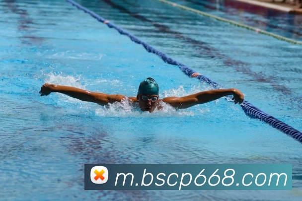 百胜彩票官网平台登录入口APP 封面图